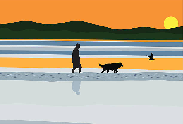 Dog Reflection Drawing 170+ Dog Reflection In Water Stock Illustrations, Royalty-Free Vector ...