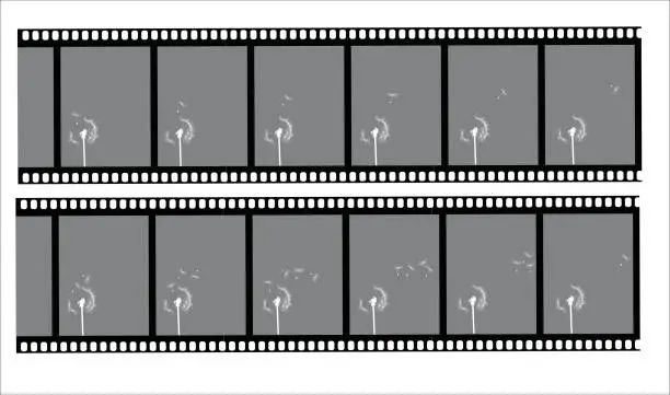 Vector illustration of Filmstrip