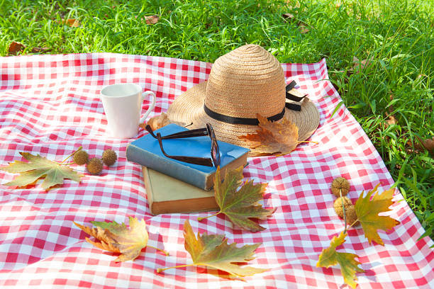 istock Having a picnic in the countryside. 1064287966