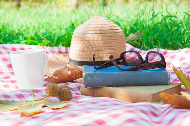 istock Having a picnic in the countryside. 1064289510