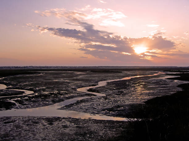 istock Streams and canals formed by the low tide 1064292048
