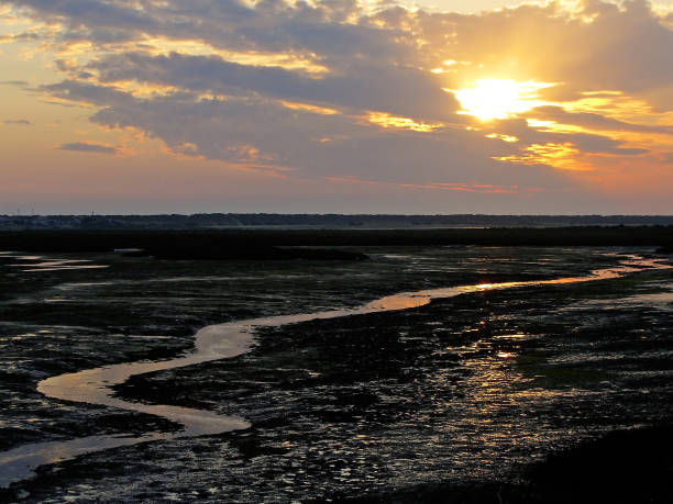 istock Streams and canals formed by the low tide 1064292050