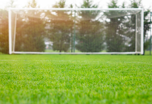 istock A soccer net with shot in bright sunlight with trees in the background. 1064292908