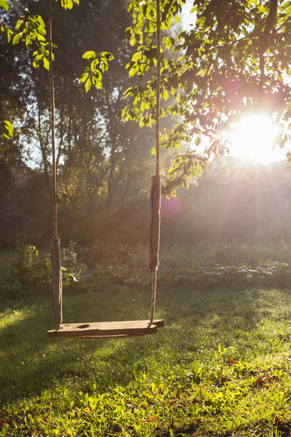 istock Baby swing morning dawn 1064294260