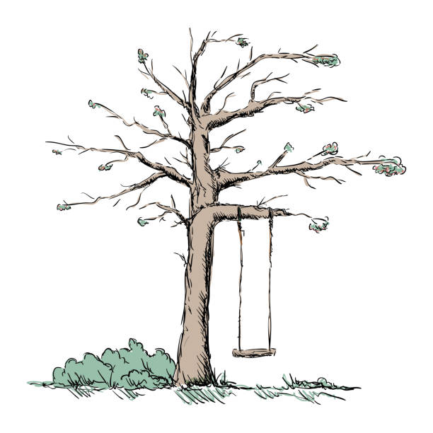 ilustraciones, imágenes clip art, dibujos animados e iconos de stock de árbol viejo - grass nature dry tall