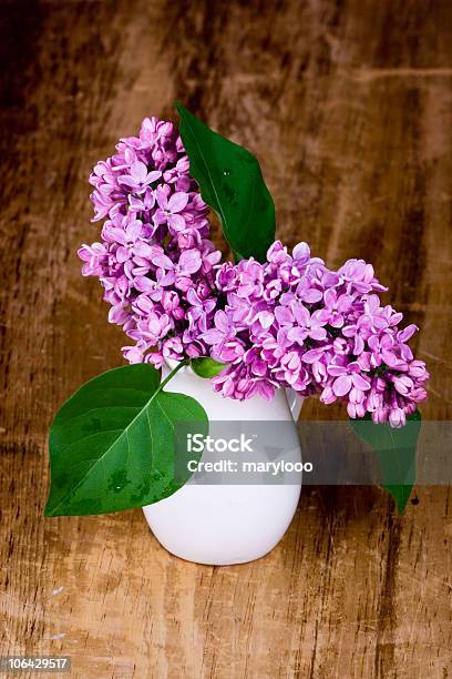 Lila Blüten In Kleinen Weißen Vase Stockfoto und mehr Bilder von Baumblüte - Baumblüte, Blatt - Pflanzenbestandteile, Blume
