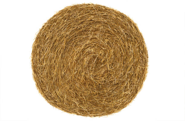 Round hay bale isolated on a white Round hay bale isolated on a white background bale stock pictures, royalty-free photos & images