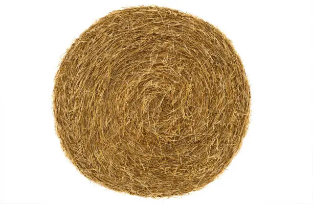 Round hay bale isolated on a white background