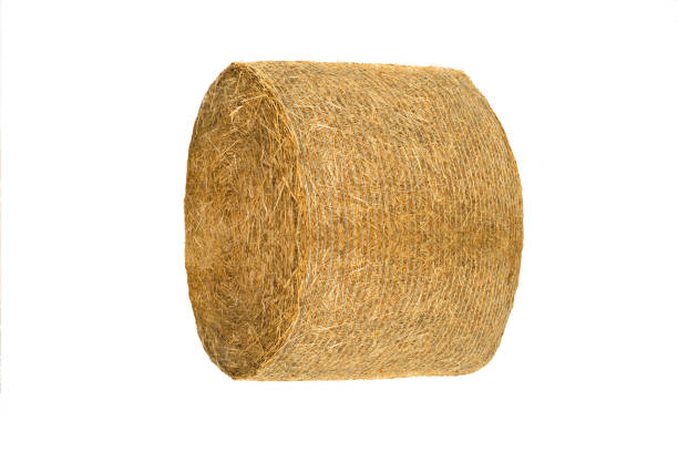 istock Round hay bale isolated on a white 1064295220