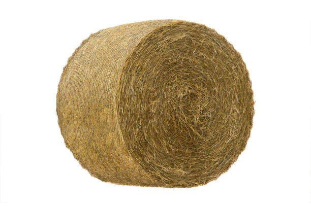 istock Round hay bale isolated on a white 1064295226