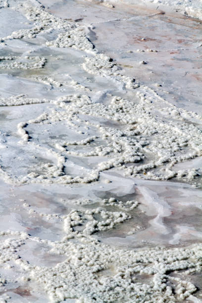 istock dry saline creating a crust of salt 1064297700