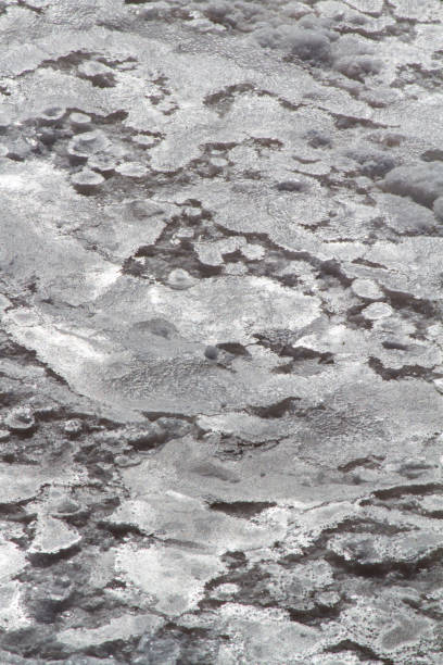istock dry saline creating a crust of salt 1064297778