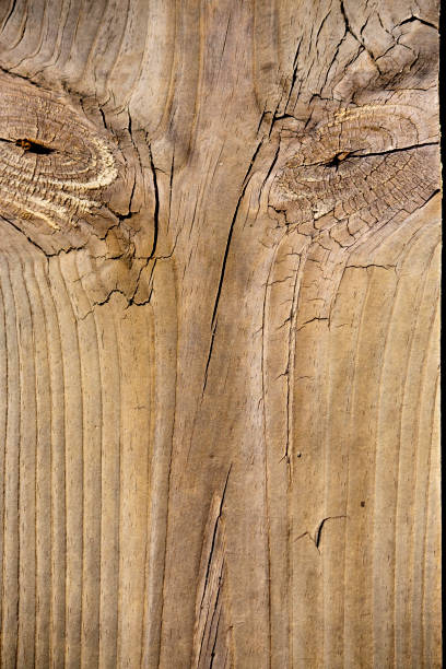 istock old texture of a wooden board 1064299188