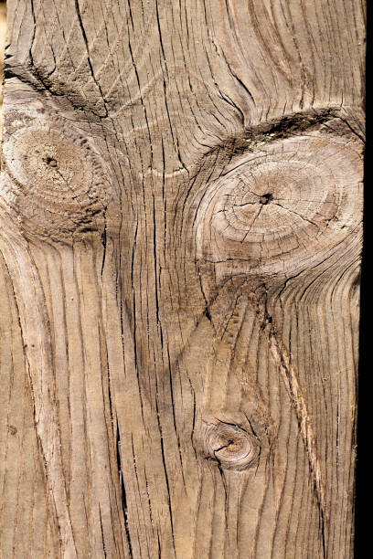 istock old texture of a wooden board 1064299318