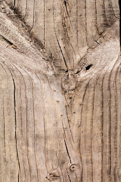 istock old texture of a wooden board 1064299342