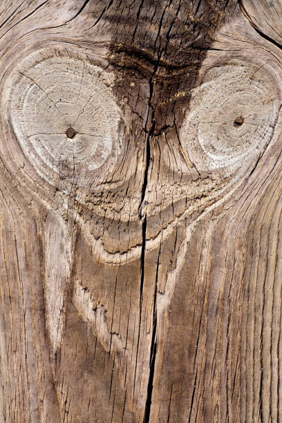 istock old texture of a wooden board 1064299378
