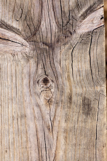 istock old texture of a wooden board 1064299394