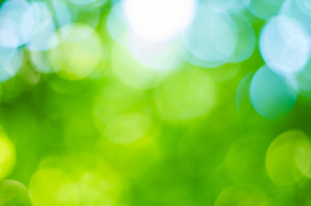 istock Green bokeh leaf, defocused, abstract, illuminated 1064301514