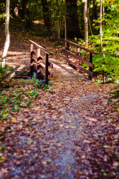 istock Small wooden bridge on a forest path in autumn, warm colors 1064301518