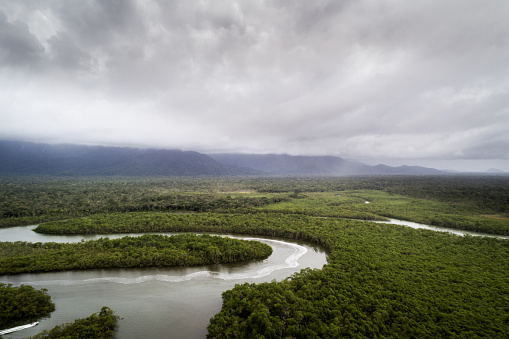 Bosque húmedo tropical photo