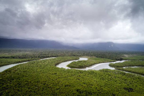 istock Mata Atlantica - Atlantic Forest in Brazil 1064301950