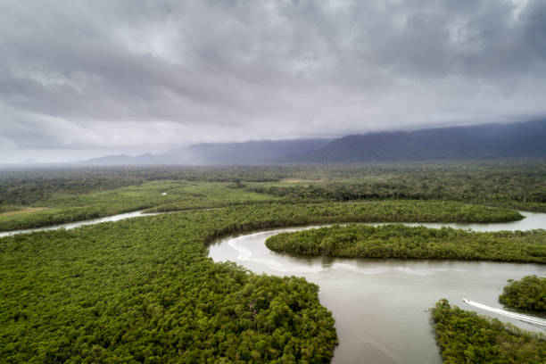 istock Mata Atlantica - Atlantic Forest in Brazil 1064301956