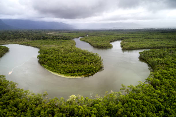 istock Tropical Rainforest Aerial View 1064301994