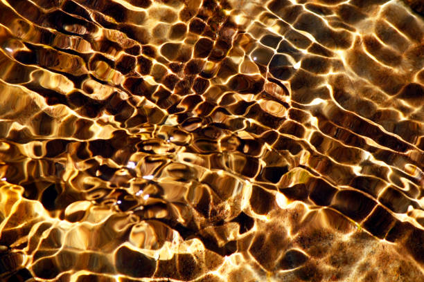 istock reflections of the water 1064302330