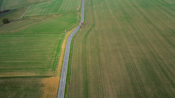 istock Road through agricultural area - aerial view 1064306776