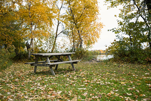 A weathered wood picnic table sits alone in a public park next to a lake in Autumn.