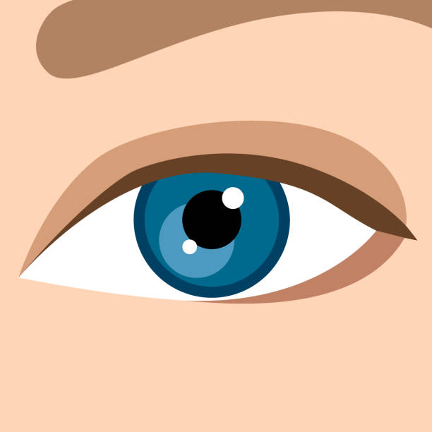 Ilustración de Öga y más Vectores Libres de Derechos de Ojos azules - Ojos azules, Ojos verdes, Color de ojos - iStock Ilustración de Öga y más Vectores Libres de Derechos de Ojos azules - Ojos azules, Ojos verdes, Color de ojos - iStock