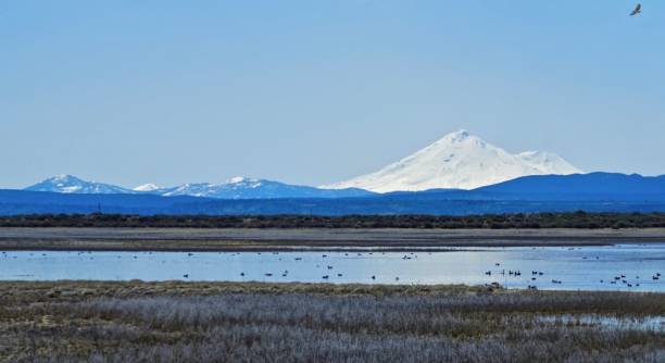 Lower Klamath National Wildlife Refuge
