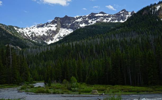 istock Yellowstone Warm Creek Zen 1064323404