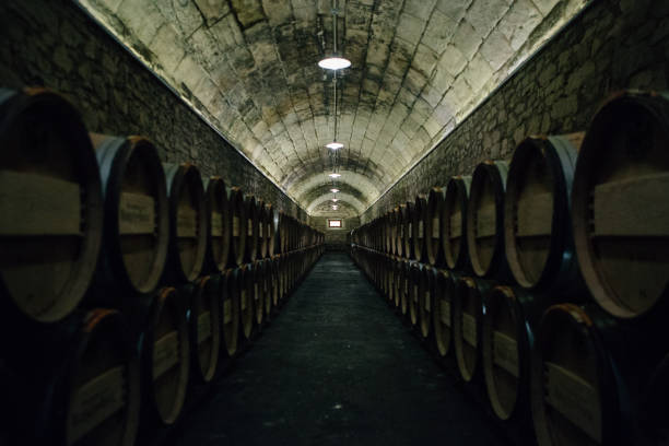 istock Wine cellar full of wooden barrels 1064327698