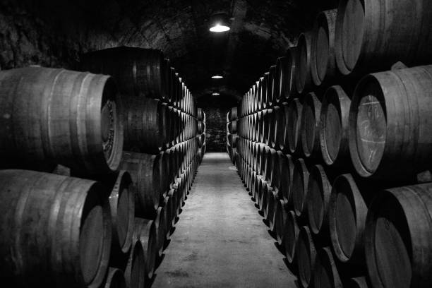 istock Wooden barrels in an old wine cellar 1064327726