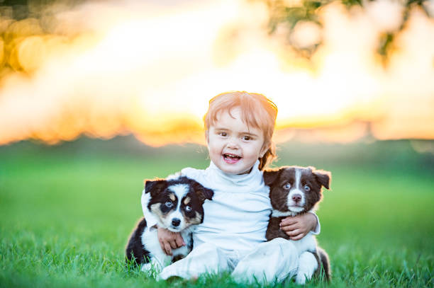 istock A baby in the grass with two puppies 1064327844