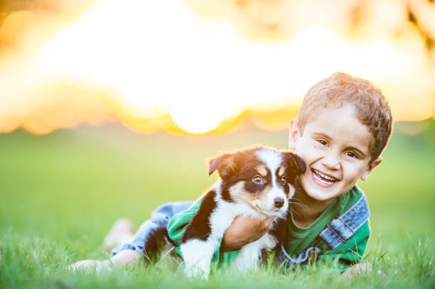 istock A boy and his puppy play in the grass 1064327848