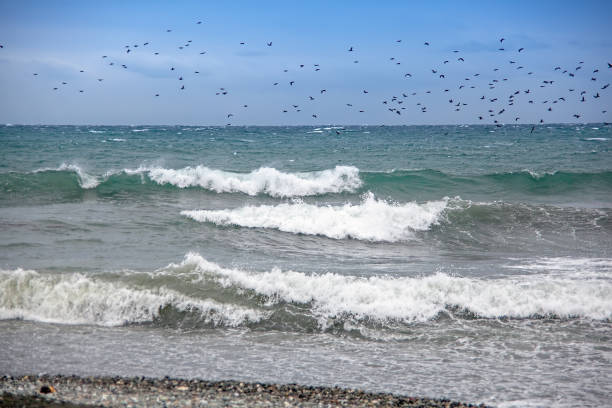 istock Black sea in winter 1064332426