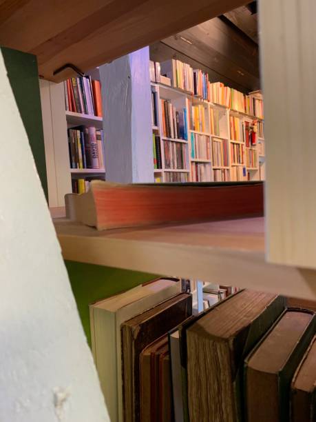 istock Bookstore shelves play, old and new books 1064341152