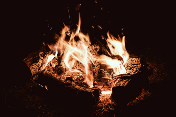 istock Campfire evening. Camp fire in the night touristic camp. Burning wood, Flame and fire sparks on dark background. Cooking barbecue outdoor. 1064341498