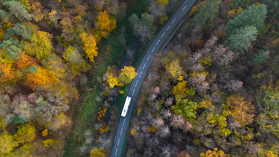 Road through autumnal forest, public service vehicle, bus - aerial view