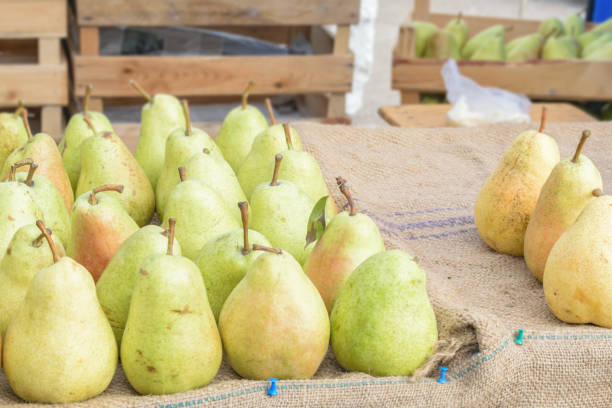 Healthy Organic yellow Pears on the table with burlap at village fair. Fruit harvest fresh picked William (Bartlett) pears in the organic shop Healthy Organic yellow Pears on the table with burlap at village fair. Fruit harvest fresh picked William (Bartlett) pears in the organic shop bartlett pear stock pictures, royalty-free photos & images