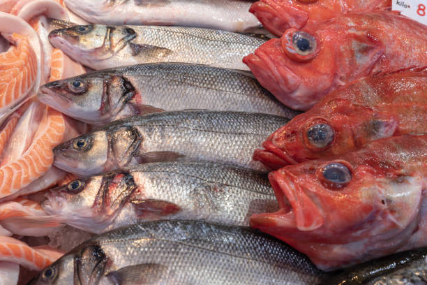 istock Fresh fish sold at a fish market by fish mongers 1064350320