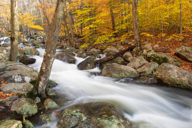 istock Creek in Autumn in Harriman State Park 1064351262