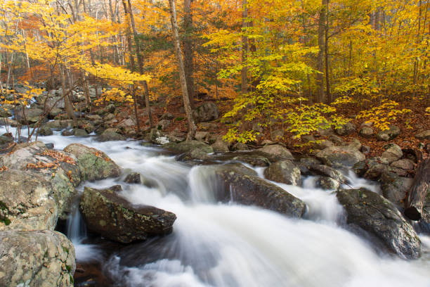 istock Creek in Autumn in Harriman State Park 1064351270