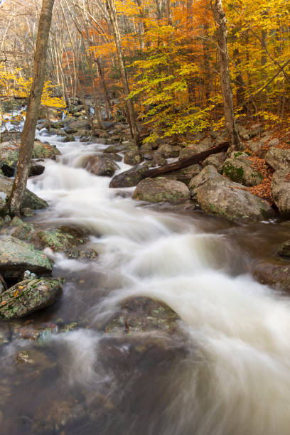 istock Stream through forest in Autumn in Harriman State Park 1064351274