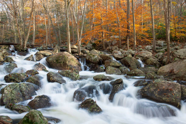 istock Cascade in Harriman State Park in Autumn 1064351366