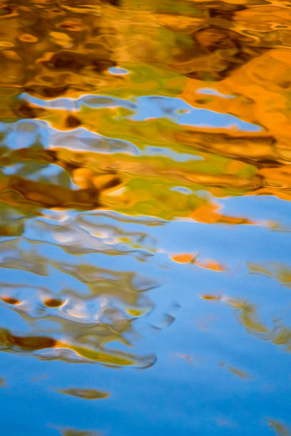 istock background texture of golden wate 1064352888