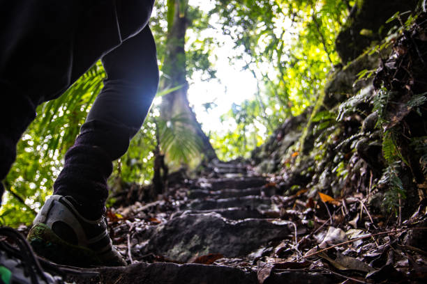 Crop person walking up natural stairs