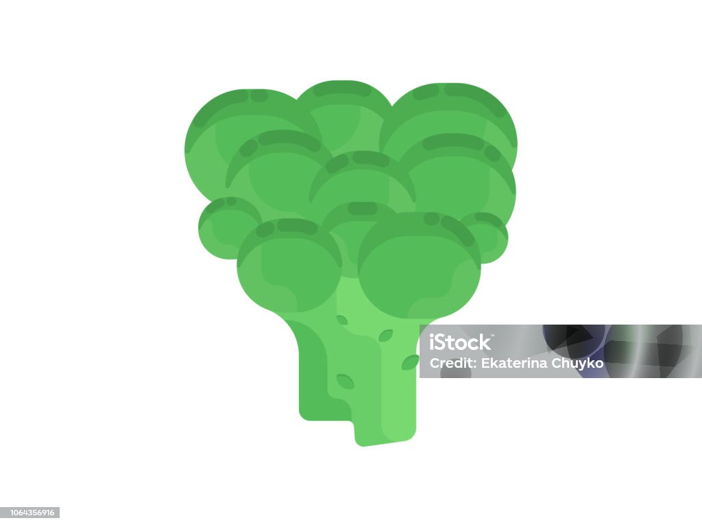 Broccoli. Broccoli. Flat illustration of broccoli vector icon isolated on white background. Agriculture stock vector